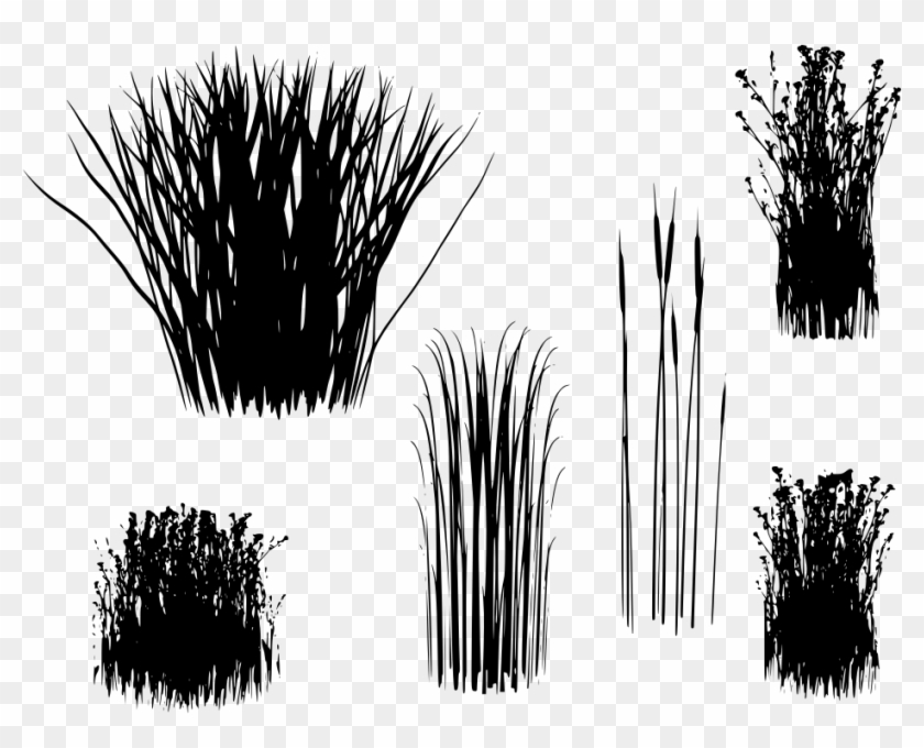 Download Png - Transparent Reed Grass Png Clipart #5476210