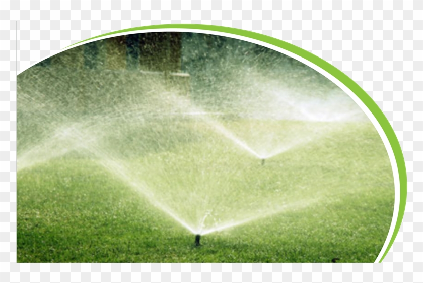 Irrigation - Garden Irrigation Png Clipart #5476325