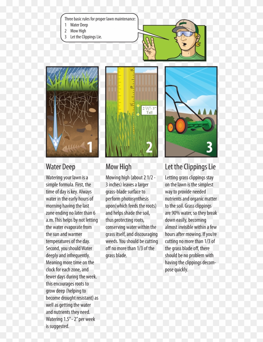 Lawn Maintenance Tips - Ferderal Minimum Wage Poster Clipart #5476351