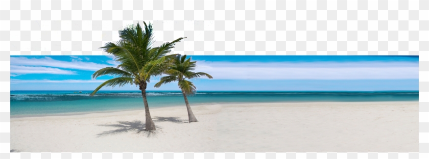 Tradewind Irrigation Inground Sprinkler Specialists - Beach Clipart #5476424