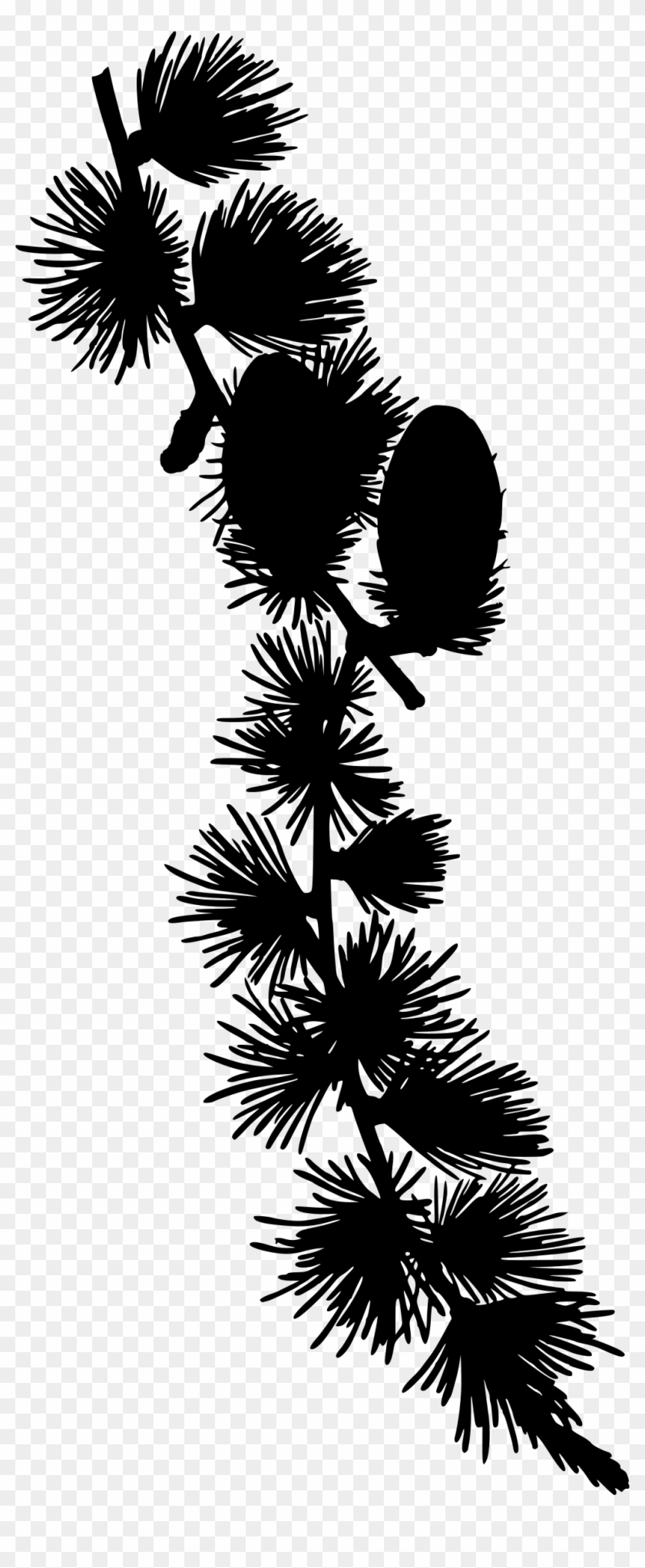 This Free Icons Png Design Of European Larch 2 - Larix Decidua Clipart #5476719