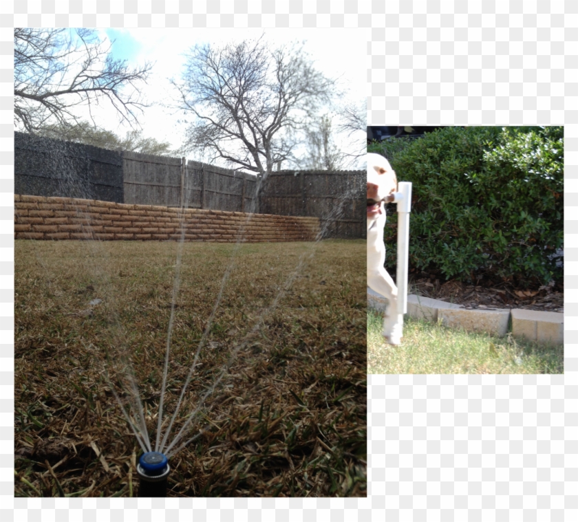 Finn Lawn Sprinkler Understands And Offers A Full Range - Grass Clipart #5477330