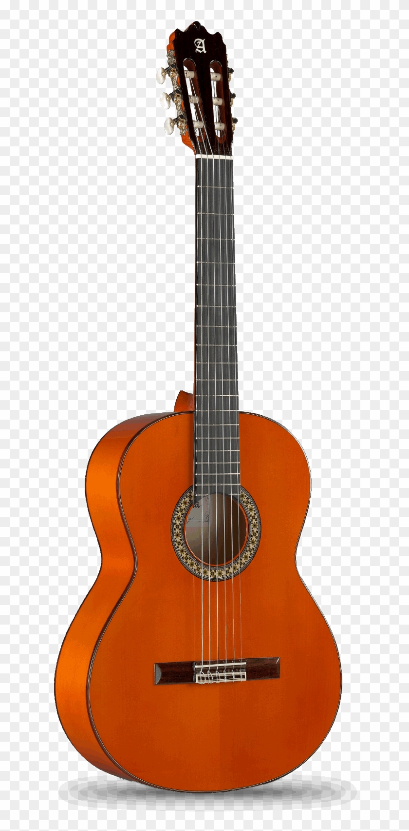 4 F Flamenco Model By Guitarras Alhambra - Martin Smith Guitars Clipart #5477603