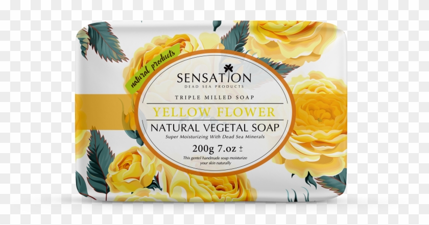 B5e5b0 D 4000 4000 S 4 2 - Pappardelle Clipart