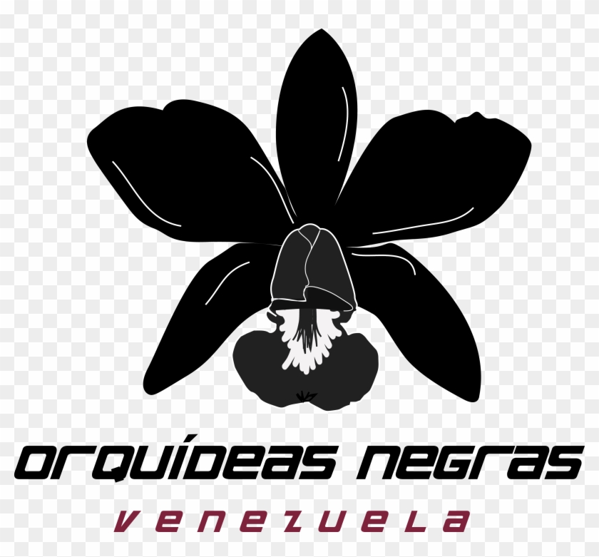 Orquideas Negras - Christmas Orchid Clipart #5478805