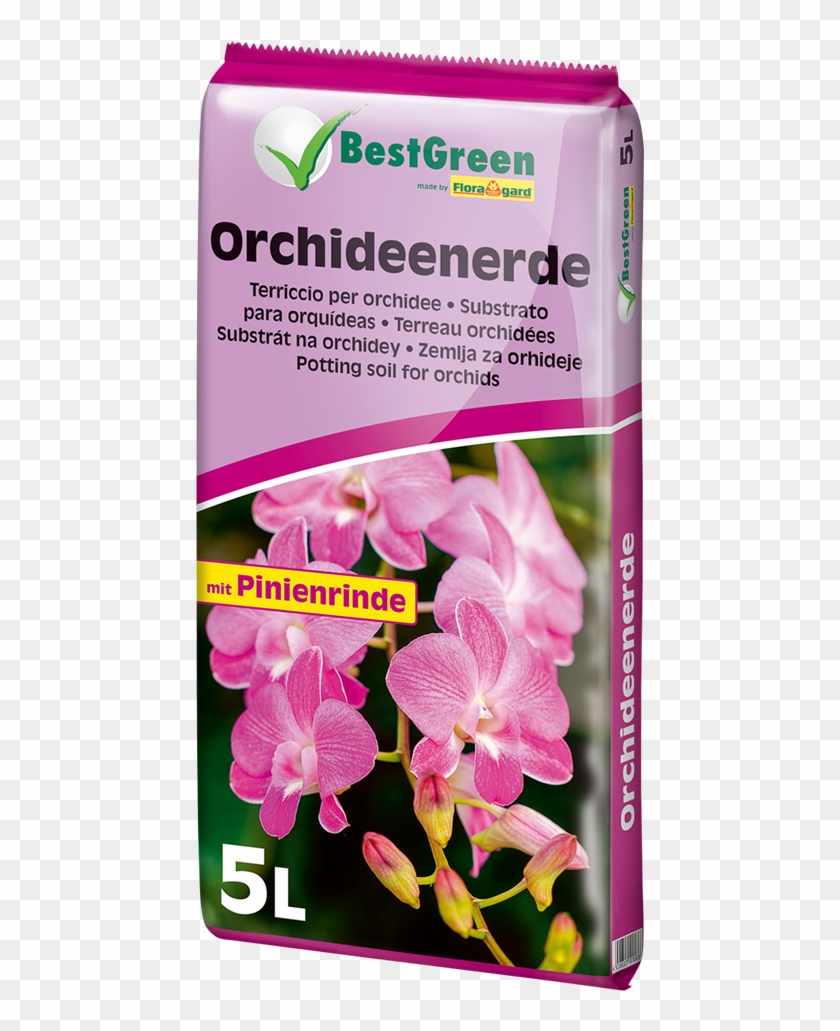 Sustrato Para Orquídeas Bestgreen - Orchids Of The Philippines Clipart #5479212