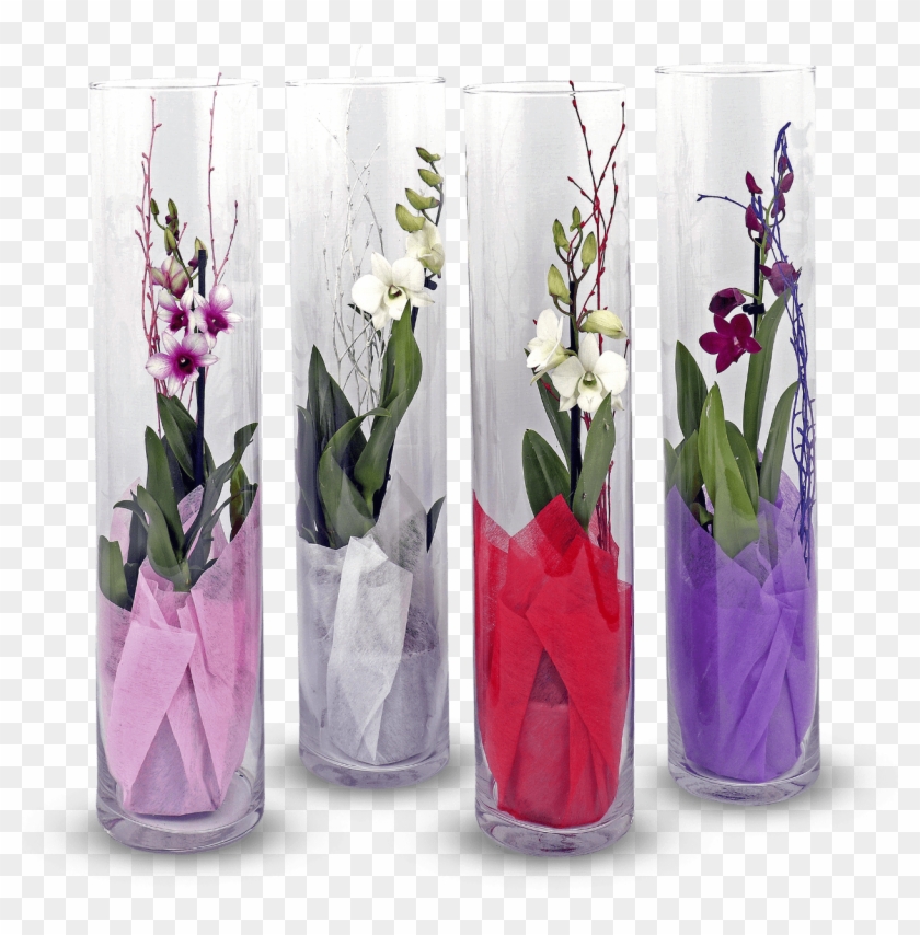 Orquídeas Em Tubo De Vidro - Bouquet Clipart #5479479
