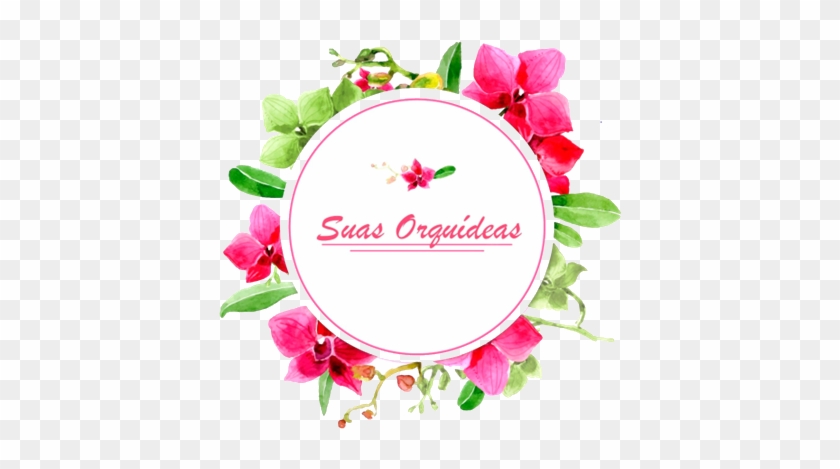 Orquidário Venda Nova Do Imigrante Clipart #5479517