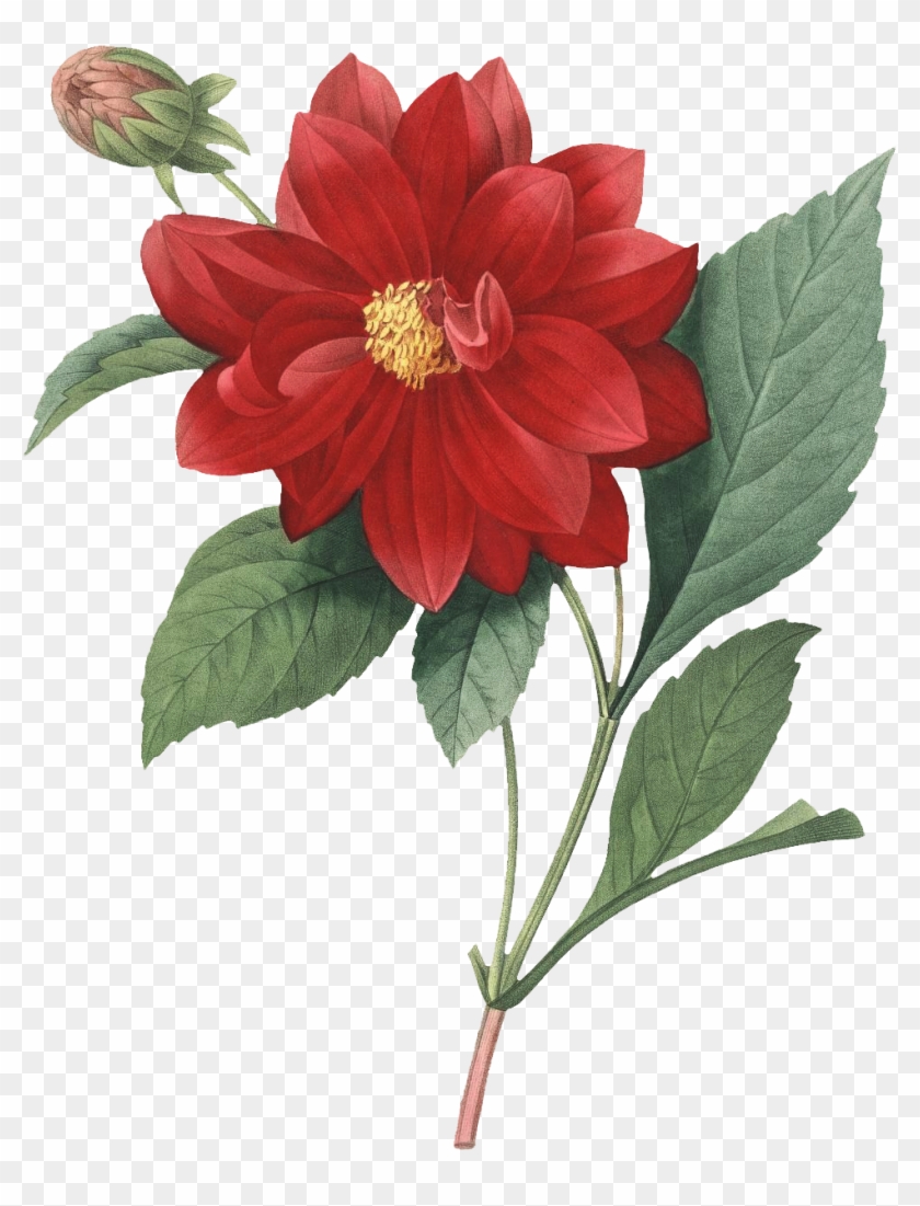 2 - Flower Botanical Png Clipart #5479845