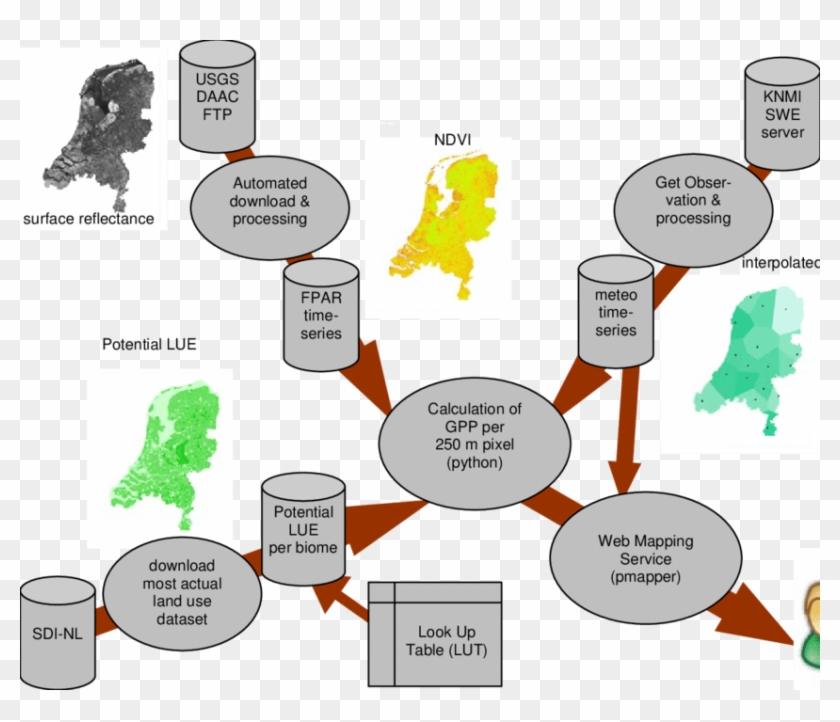 Overview Of Different Steps In The Automated Processing - Cartoon Clipart