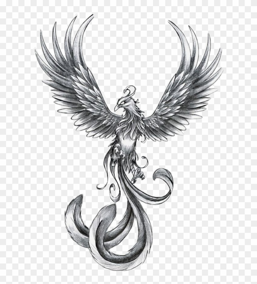 Vamos A Encontrarnos, Antes Que Se Arrepientan Los - Phoenix Tattoo Clipart #5481532