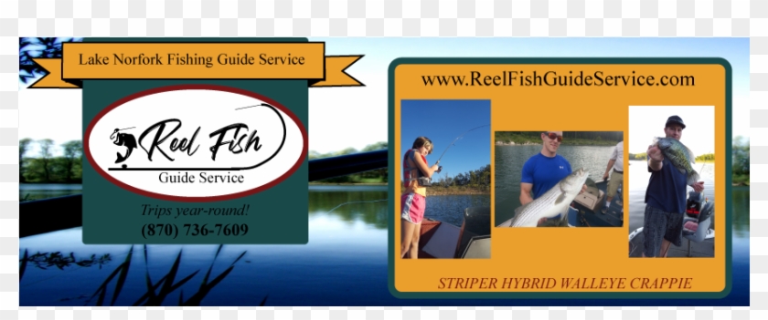 A58ff9 - Flyer Clipart #5481681