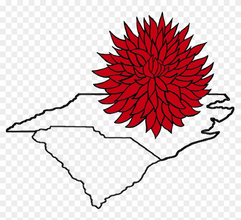 Carolinas Dahlia Society - Floral Design Clipart