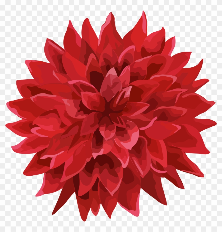 Dahlia Flower Png , Png Download Clipart #5482268