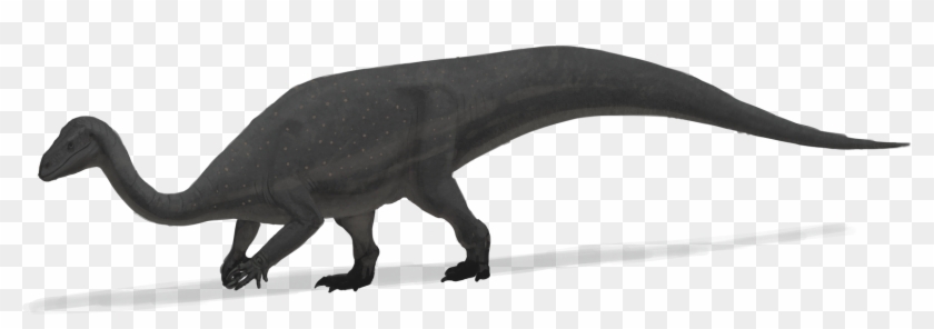 Mussaurus Patagonicus Was An Early Sauropodomorph Dinosaur - Mussaurus Png Clipart #5483151