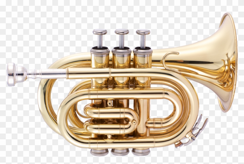 Long Horn Trumpet Png - Cornet Clipart #5484349