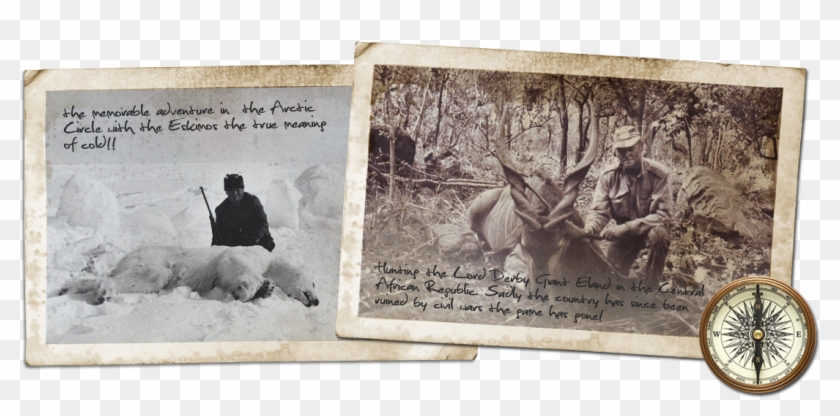 Elk Clipart #5484602