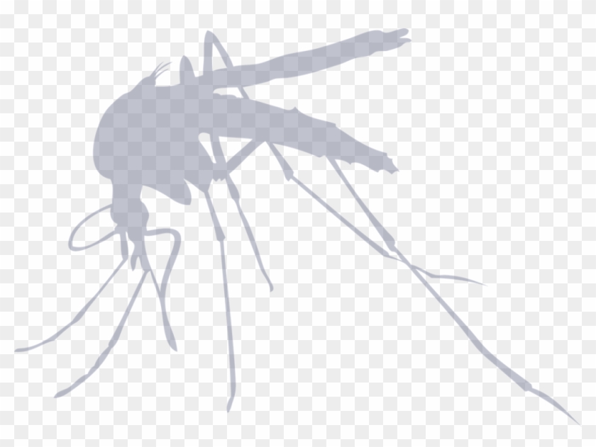 A New, Non-toxic And Green Product Which Repels Mosquitos - Mosquito Simple Clipart #5484655