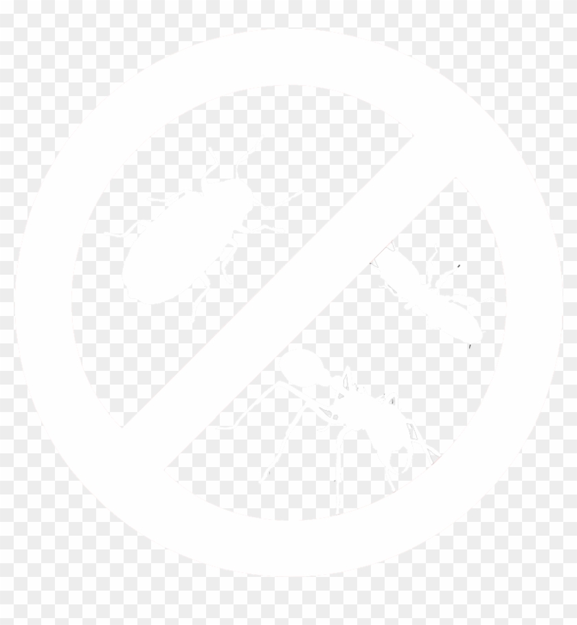 Insect Control - Weevil Clipart #5485521