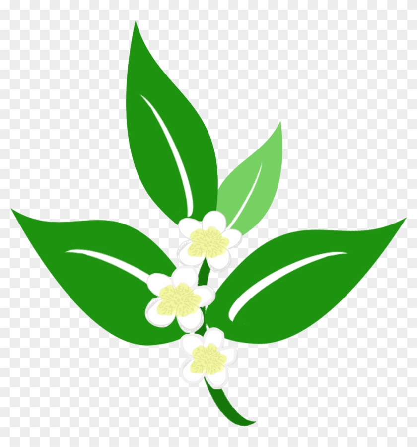 Com/wp Leaves And Flower Transparent Clipart