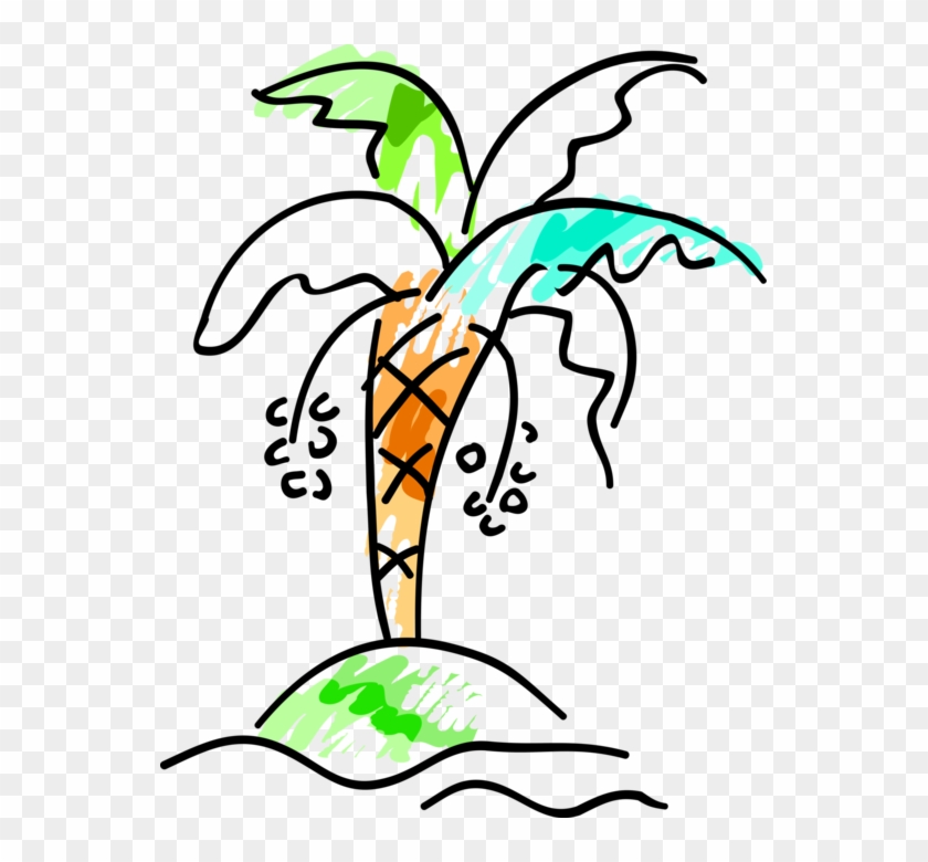 Vector Illustration Of Arecaceae Palm Tree With Coconuts - Worksheet Clipart #5487532