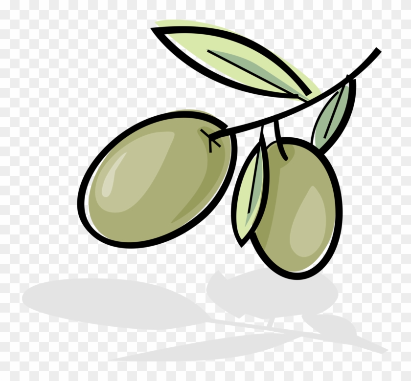 Vector Illustration Of Olives Growing On Plant Branch - Olive Clipart