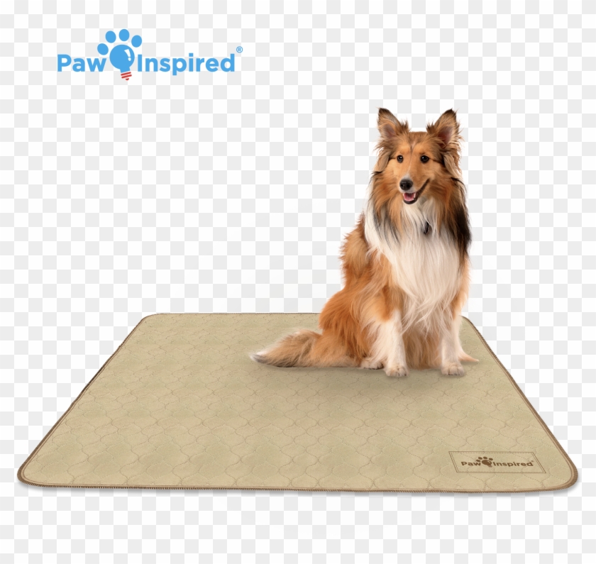 41'' X 41'' Paw Inspired Washable Pee Pads For Dogs, - Rough Collie Clipart #5488574