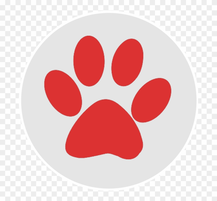 Puppy Adoption Certificate Paw Patrol Clipart #5488727