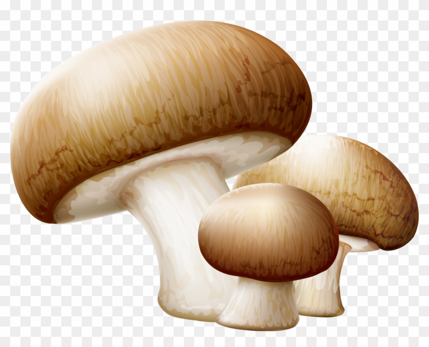 Common Mushroom Edible Mushroom Clip Art - Transparent Background Mushroom Clip Art - Png Download #5489665