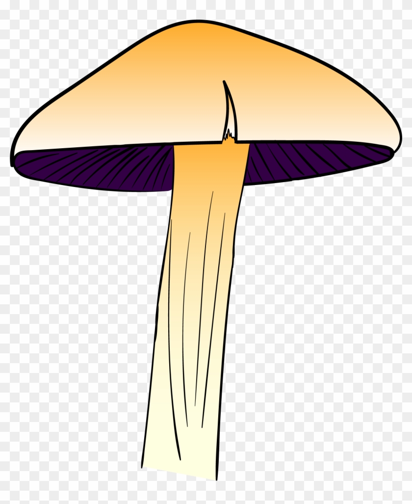 New To Adobe Illustrator, Thought I'd Share My First - Agaricus Clipart #5489707