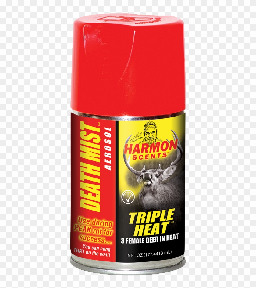 Hornet Clipart #5489979