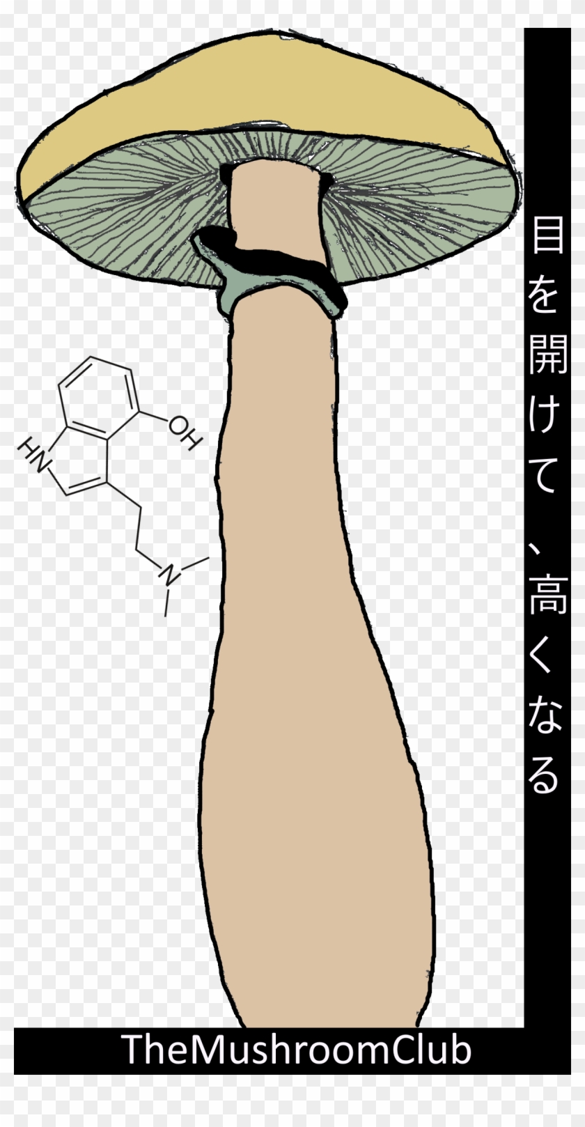 Made This Then I Was Baked - Cartoon Clipart #5489984