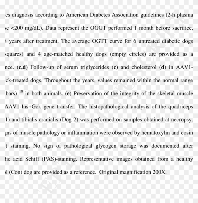 Celular Vector Png - Essay About Troy The Movie Clipart #5489992