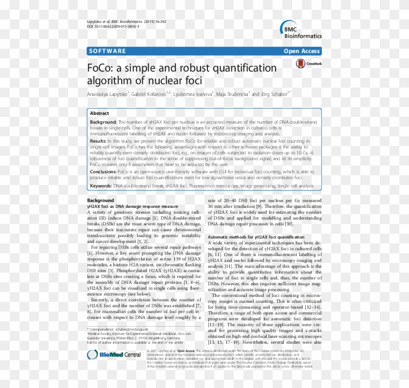 Pdf - Dsm 2019 Bipolar Disorder Clipart #5490555