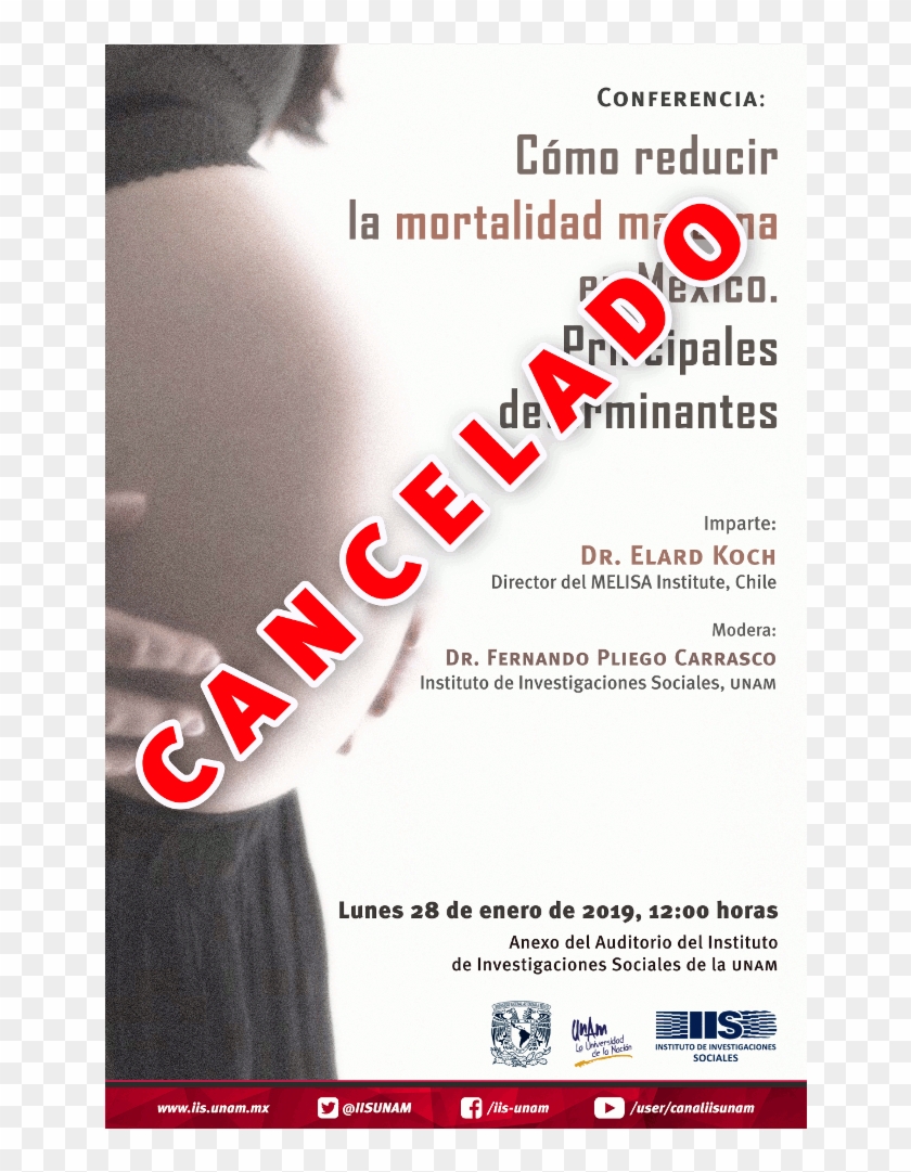 Cómo Reducir La Mortalidad Materna En México - Poster Clipart
