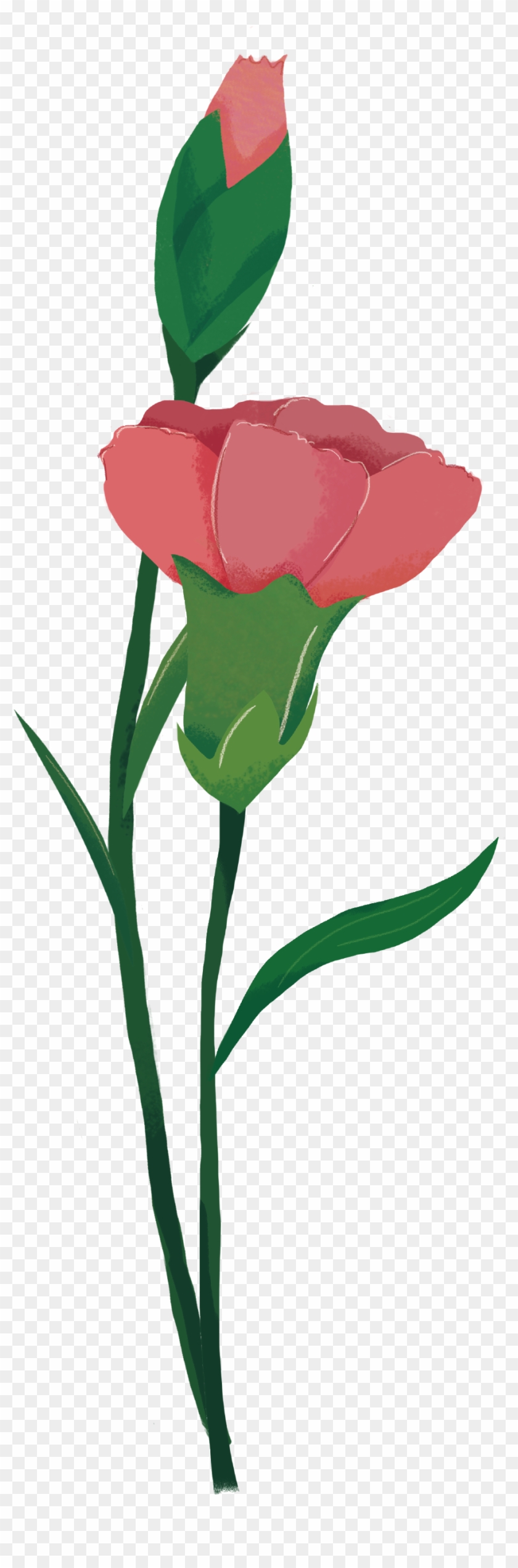 Hand Painted Cartoon Flat Flower Decoration Vector - Iris Clipart