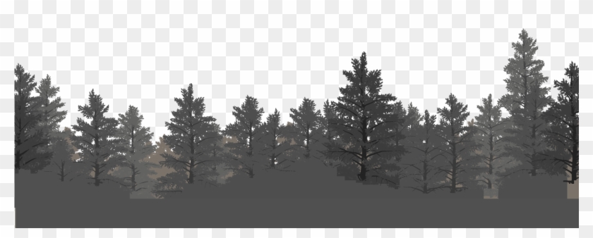Layer-3 - Shortleaf Black Spruce Clipart