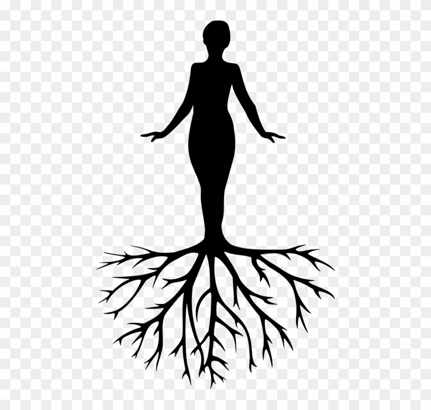 Women Tree Yoga Meditation Harmony Silhouette - Yoga Pictures Black And White Clipart