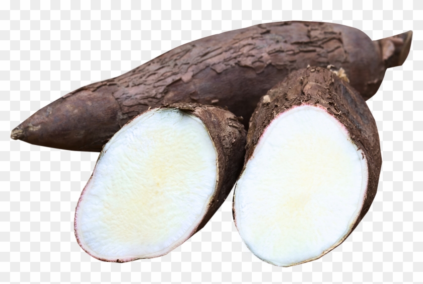 Cassava Png Image - Cassava Clipart #5492712