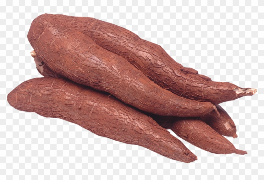 Mandioca Png - Macaxeira Significado Clipart