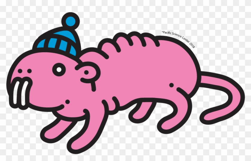 Account Clipart #5493198