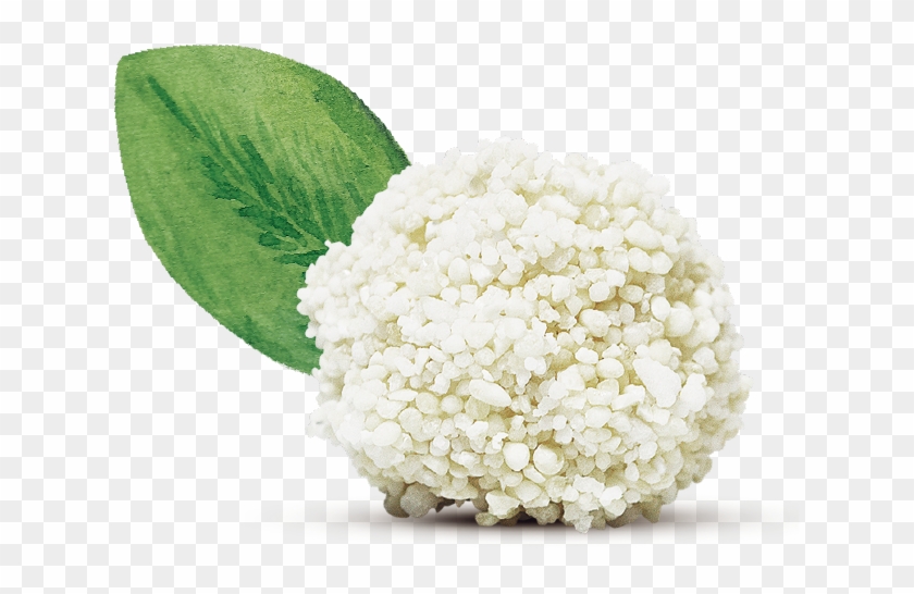 A Clean You Can See ™ - Litter Box Clipart #5493442