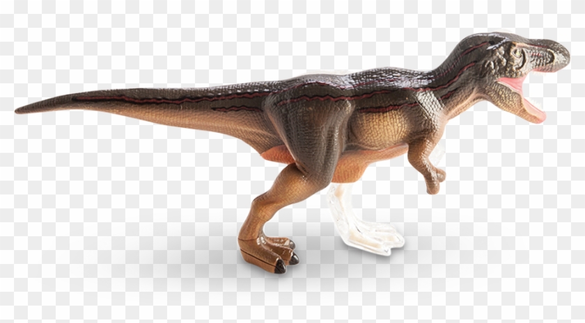 4d Vision T-rex Anatomy Model - Trex Anatomy Clipart