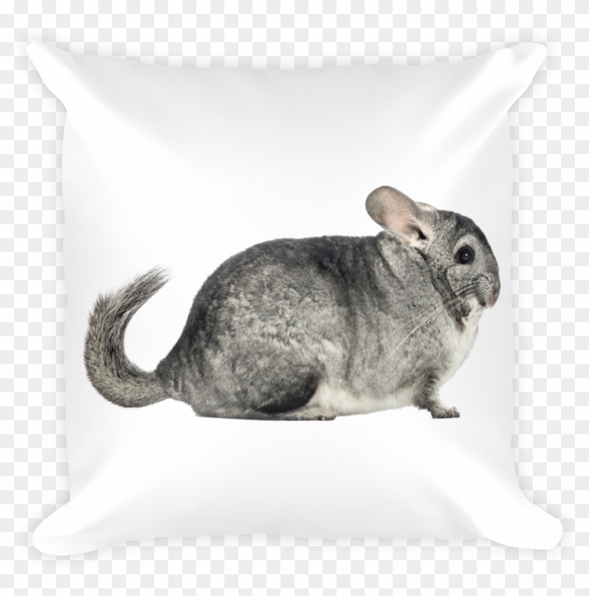 Chinchilla Print Square Pillow - Chinchilla Clipart #5495557