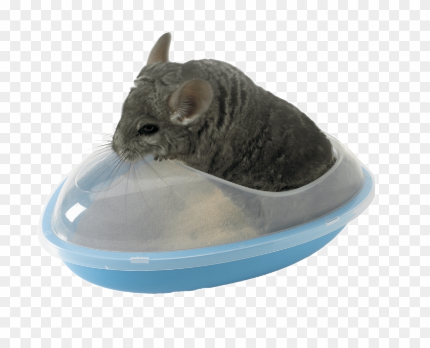 Wellness Bath - Bedding - Bedding - Small Animalswellness - Chinchilla Sand Bath Clipart