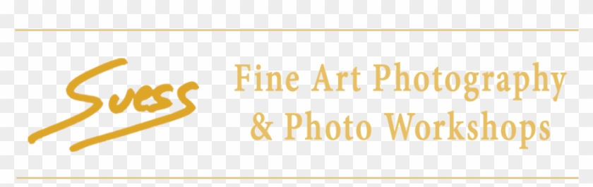 Learn Photography Online With Matt Suess - Tan Clipart #5497144