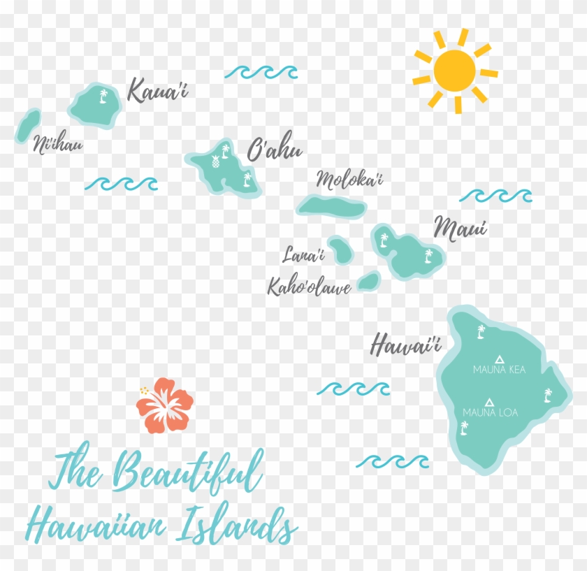 By Megan Hoeffliger Dribbble - Hibiscus Clipart #5497830