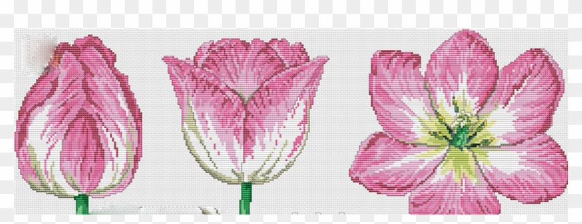 Cross-stitch Clipart #5499061