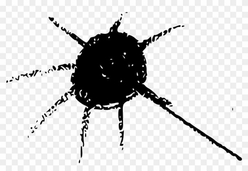 Beetle Fly Spider Web Arthropod - Illustration Clipart