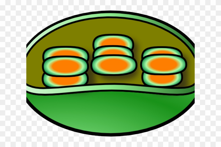 Clip Art - Png Download